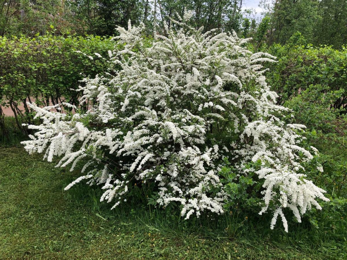 Pyhtaeae Garden Villa Pyhtaa Bagian luar foto